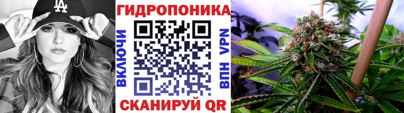 Виды наркотиков купить Камышлов Альфа ПВП  Меф  ГАШИШ 