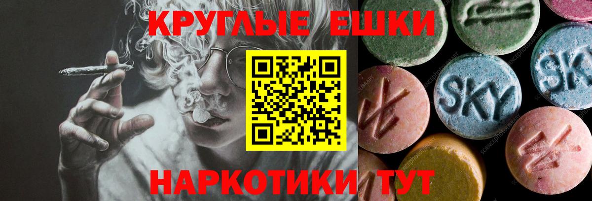 Ecstasy диски Камышлов