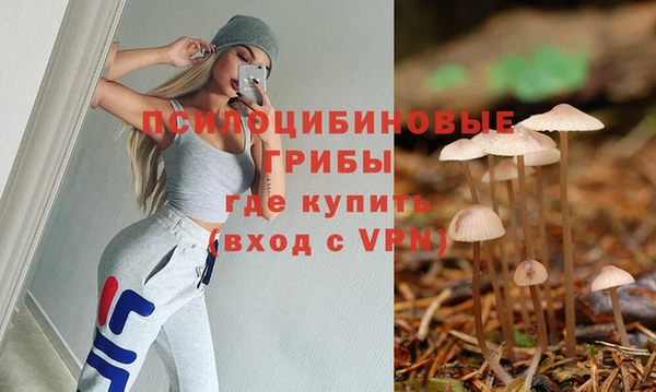 дурь Вяземский