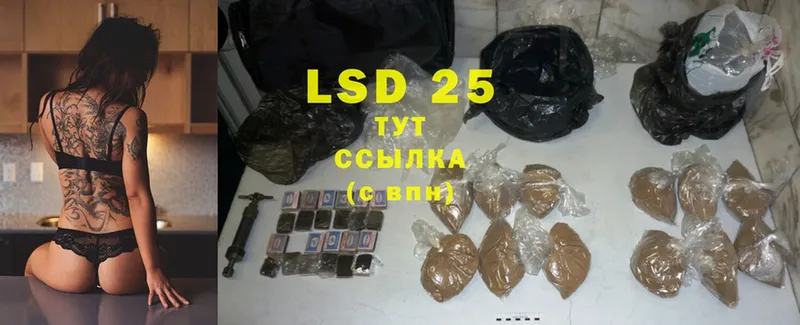 где найти   Камышлов  LSD-25 экстази ecstasy 