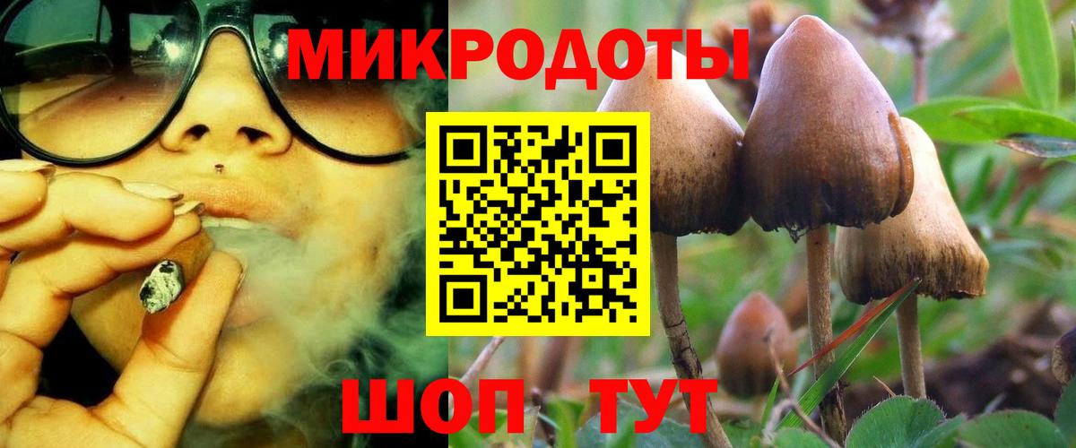 Галлюциногенные грибы мицелий Камышлов