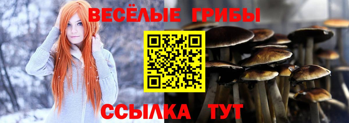 Камышлов  Галлюциногенные грибы MAGIC MUSHROOMS  Вход с VPN 